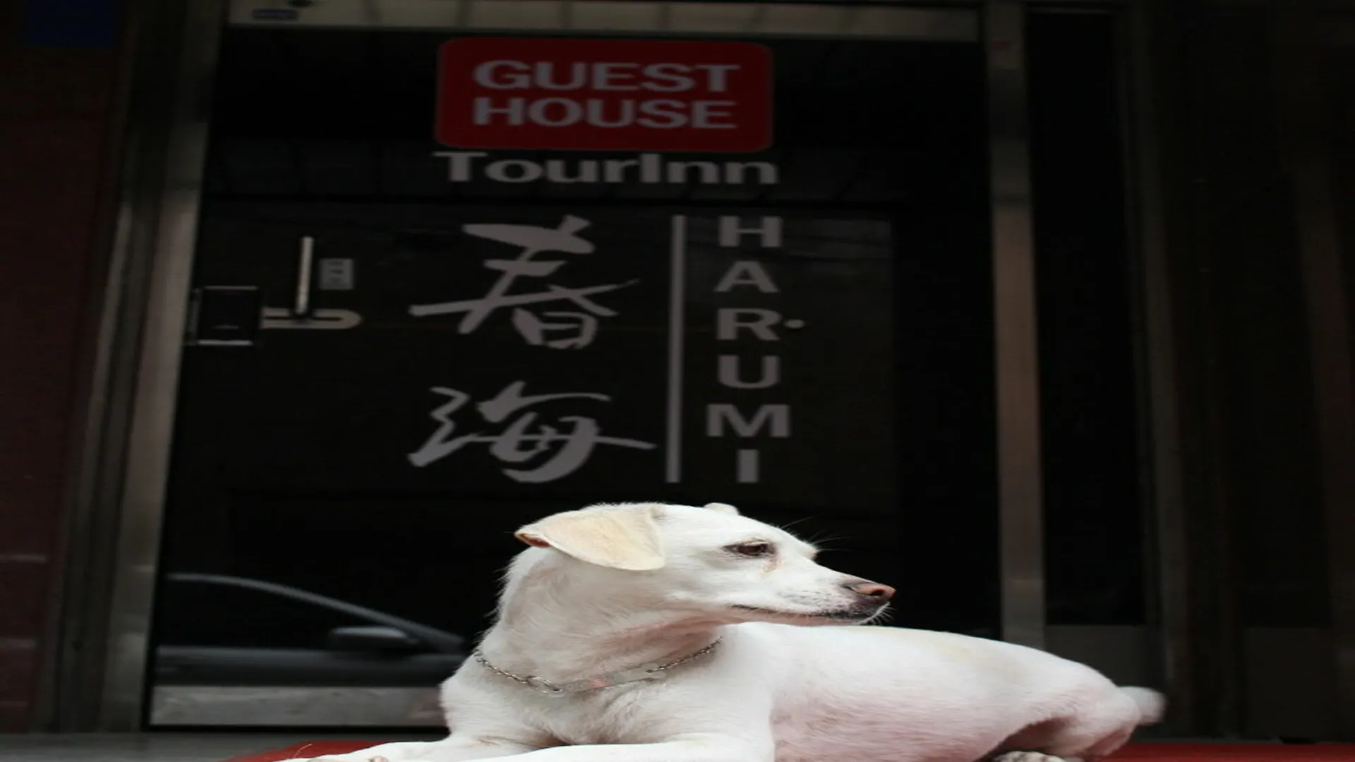 Tourinn Harumi Seoul Guest house
